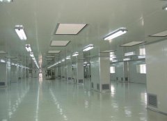 化妝品凈化車(chē)間的主要區(qū)域及工作注意事項(xiàng)